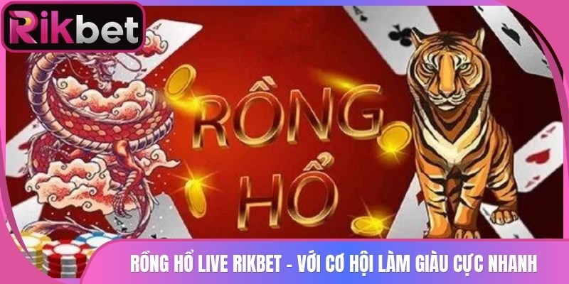 Rồng Hổ Live Rikbet - Với Cơ Hội Làm Giàu Cực Nhanh 6 Rồng Hổ Live Rikbet – Với Cơ Hội Làm Giàu Cực Nhanh